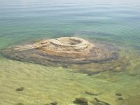 Geyser in Yellowstone Lake